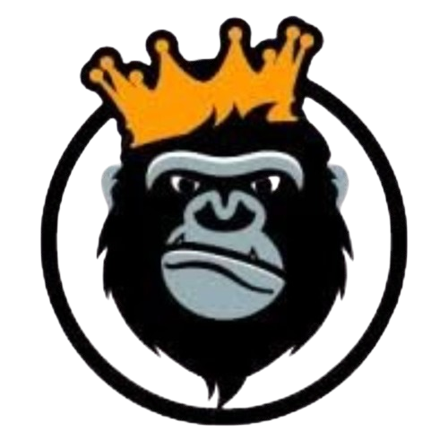 REELKINGDOM
